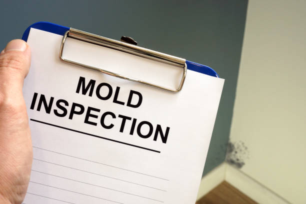 Best Mold-Related Health Consultation  in Canadian Lakes, MI